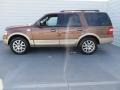 2011 Golden Bronze Metallic Ford Expedition King Ranch  photo #6