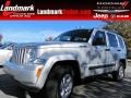 Bright Silver Metallic - Liberty Sport Photo No. 1