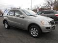 Pewter Metallic - ML 350 4Matic Photo No. 3