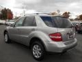Pewter Metallic - ML 350 4Matic Photo No. 6