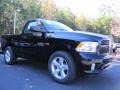 Black - 1500 Express Regular Cab Photo No. 4