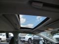 Alabaster Silver Metallic - Civic Si Sedan Photo No. 9