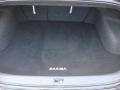 Super Black - Maxima 3.5 SV Photo No. 16