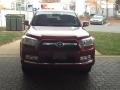 Salsa Red Pearl 2010 Toyota 4Runner SR5 4x4