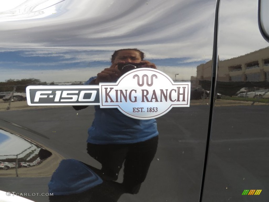 2013 F150 King Ranch SuperCrew 4x4 - Kodiak Brown Metallic / King Ranch Chaparral Leather photo #14