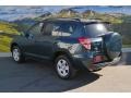 Magnetic Gray Metallic - RAV4 I4 4WD Photo No. 7