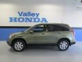 2009 Green Tea Metallic Honda CR-V EX-L 4WD  photo #2