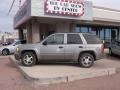 Graystone Metallic - TrailBlazer LS 4x4 Photo No. 9