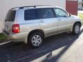 Vintage Gold Metallic - Highlander V6 4WD Photo No. 4