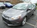 Sterling Gray - Focus SE Sedan Photo No. 4