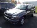 Dark Gray Metallic - TrailBlazer LS 4x4 Photo No. 3