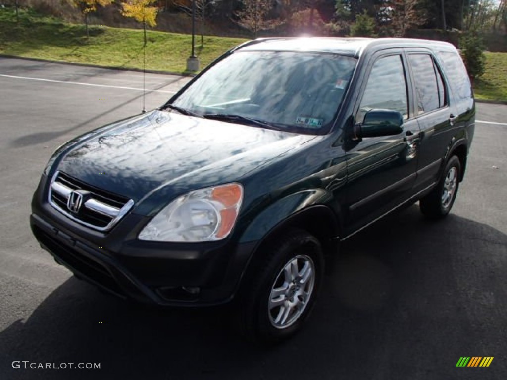 2003 CR-V EX 4WD - Clover Green Pearl / Saddle photo #3