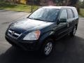 Clover Green Pearl - CR-V EX 4WD Photo No. 3