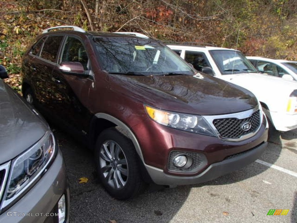 2011 Sorento EX V6 AWD - Dark Cherry / Black photo #1