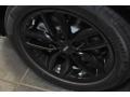 Crystal Silver Metallic - Cooper S Paceman All4 AWD Photo No. 23