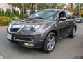 Grigio Metallic - MDX Technology Photo No. 7