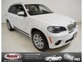 Alpine White - X5 xDrive 50i Photo No. 1