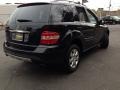 Black - ML 350 4Matic Photo No. 4