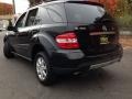 Black - ML 350 4Matic Photo No. 5
