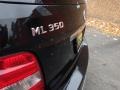 Black - ML 350 4Matic Photo No. 6