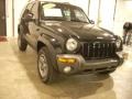 Black Clearcoat - Liberty Sport 4x4 Photo No. 6