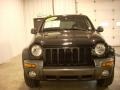Black Clearcoat - Liberty Sport 4x4 Photo No. 7