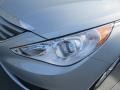 Radiant Silver - Sonata GLS Photo No. 9