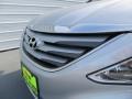 Radiant Silver - Sonata GLS Photo No. 10