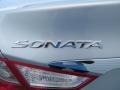 Radiant Silver - Sonata GLS Photo No. 13