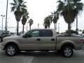 2013 Pale Adobe Metallic Ford F150 XLT SuperCrew  photo #2