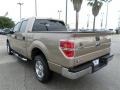 Pale Adobe Metallic - F150 XLT SuperCrew Photo No. 3