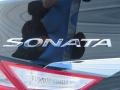 Phantom Black Metallic - Sonata GLS Photo No. 14