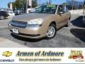 Light Driftwood Metallic 2004 Chevrolet Malibu Sedan