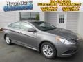 2014 Harbor Gray Metallic Hyundai Sonata GLS  photo #1