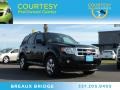 Tuxedo Black Metallic 2011 Ford Escape XLT V6