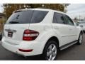 Arctic White - ML 350 4Matic Photo No. 5