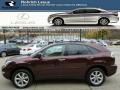Brandywine Mica 2009 Lexus RX 350 AWD