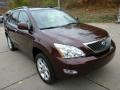 Brandywine Mica - RX 350 AWD Photo No. 3