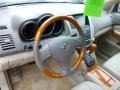 Brandywine Mica - RX 350 AWD Photo No. 6