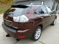 Brandywine Mica - RX 350 AWD Photo No. 10