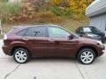 Brandywine Mica - RX 350 AWD Photo No. 11