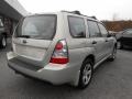 Champagne Gold Opal - Forester 2.5 X Photo No. 7