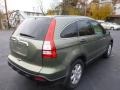 2008 Green Tea Metallic Honda CR-V EX 4WD  photo #11