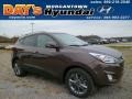 Kona Bronze - Tucson SE AWD Photo No. 1