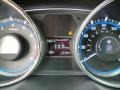 Iridescent Silver Blue Pearl - Sonata GLS Photo No. 20