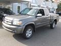 Phantom Gray Pearl - Tundra SR5 Access Cab 4x4 Photo No. 3
