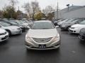 Camel Pearl - Sonata GLS Photo No. 1