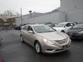 Camel Pearl - Sonata GLS Photo No. 2