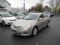 Camel Pearl - Sonata GLS Photo No. 3