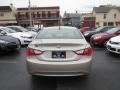 Camel Pearl - Sonata GLS Photo No. 5